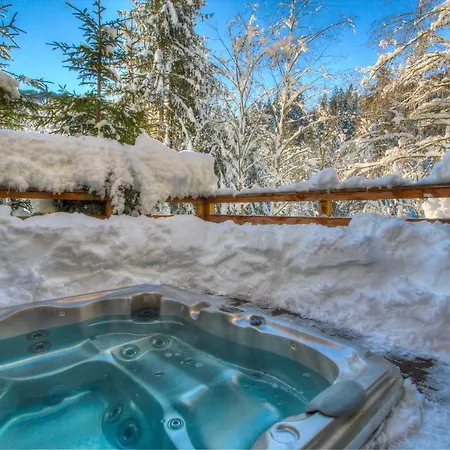Apartamento La Mésange Cendrée Morzine